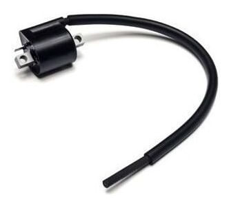 Bobina Ignicao Ybr Factor 11/13 Xtz125 11 E/d Magnetron