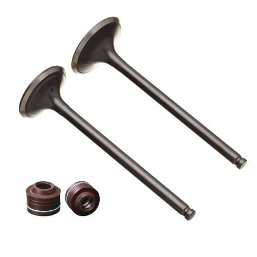 Kit Valvula Admissão e Escape Retentor Titan Fan Start 160