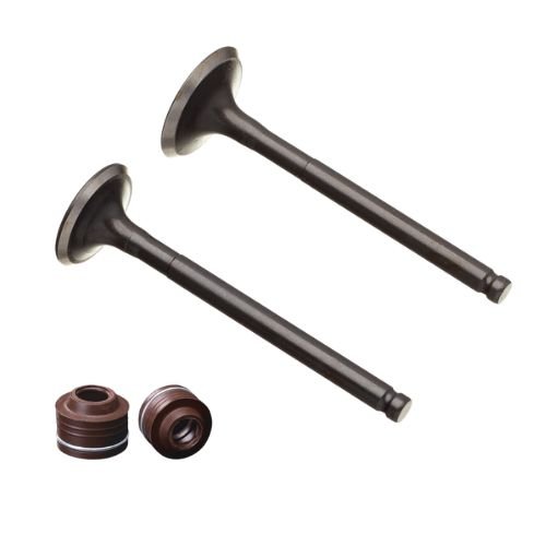 Kit Valvula Admissão e Escape Retentor Biz 110 Pop 110