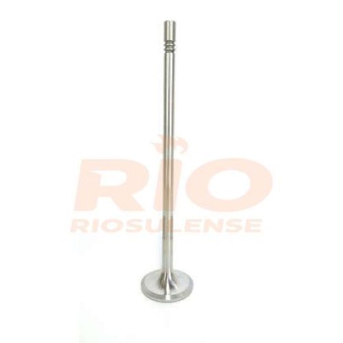 VALVULA ADMISSAO FH13 D13A