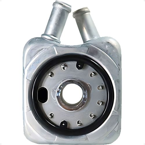 Radiador Óleo Audi Tt 2000 a 2003 - 1350001 - 281170