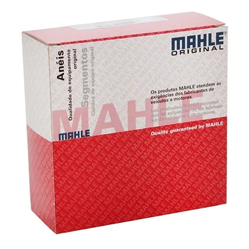 ANEL DE MOTOR - GM CORSA 1.0 8V 16V