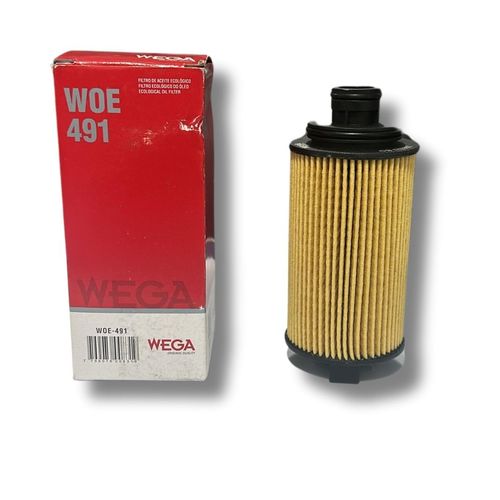Filtro de Óleo - WOE491