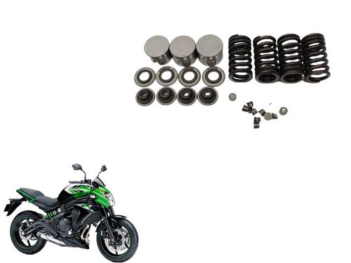 Kit Tucho/molas/pratos e Trava Kawasaki Er-6n 08-17