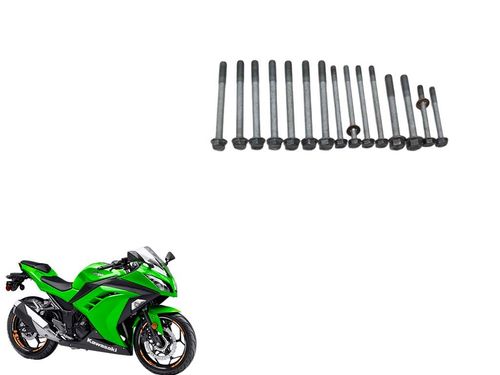 Kit Parafuso Carcaça Motor Ninja 300 2013 2018