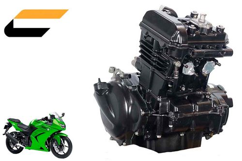 Motor Completo Kawasaki Ninja 250 R 08-12 Na Troca