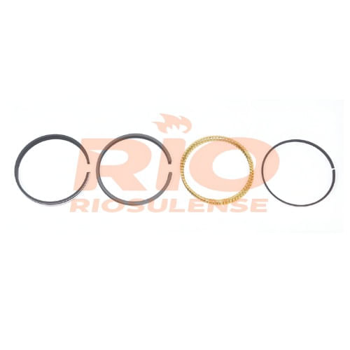 ANEL DE MOTOR - RENAULT MEGANE 1.6 8V 1995 A 1999 CLIO II 1.4 16V 2000 A 2007 STD
