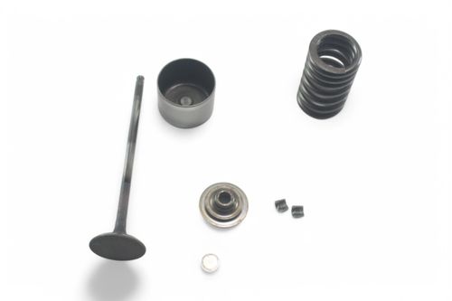 Kit Prato\Mola\Válvula Escape (Ex) Honda Cb 600 F Hornet 08-14