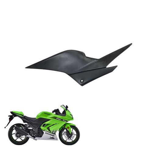 Carenagem Tampa Lateral Le Ninja 250 08/12 Original Seminovo