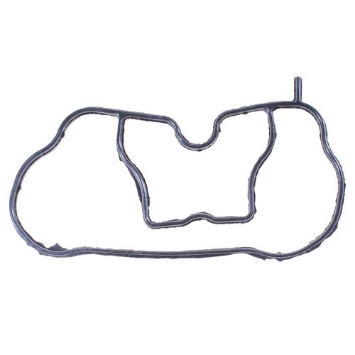 Junta Coletor Admissão Ford Ecosport 2003 a 2012 - 509823 - 340217