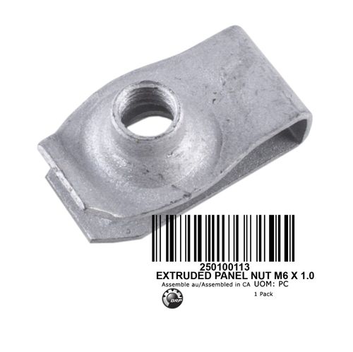 PORCA M6X10 (250100113)