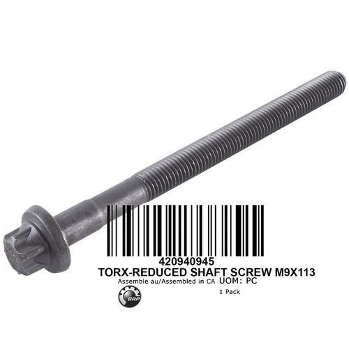PARAFUSO TORX M9 X 113 (420940945)