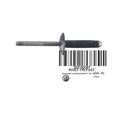 REBITE (293150067)