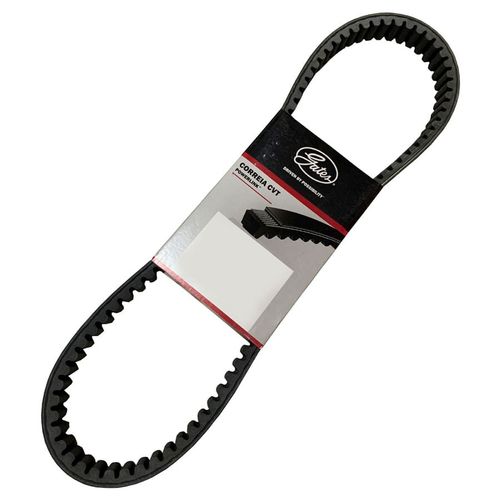 Correia Burgman 125 2006 a 2010 serve Lead 110 Gates