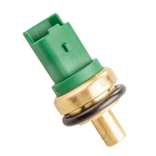 Cebolinha Temperatura XSARA 2000/2005 - 40318 - 4083