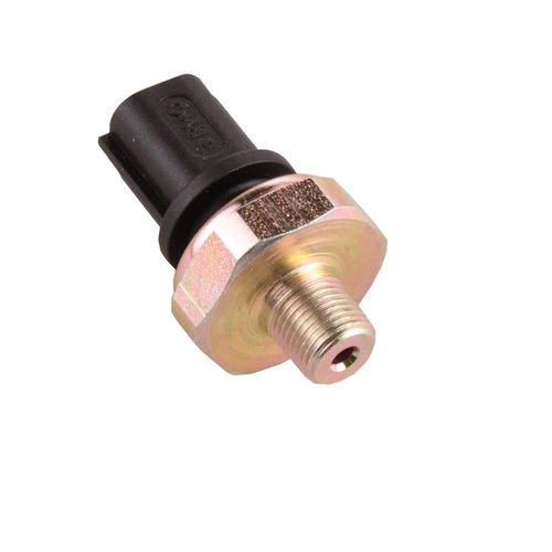 Cebolinha do Óleo MASTER 2009/2017 - 19585 - 3316