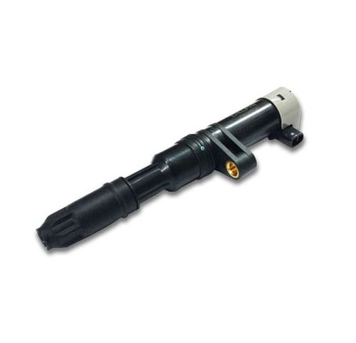 Bobina de Ignição Clio Fluence Kangoo Livina Logan Mégane Scénic Livina 1997 a 2015 Delphi CE20014